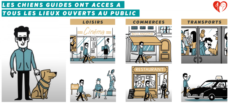 Infographie Romain et Domino &quot;Les chiens guides ont accès à tous les lieux ouverts au public&quot; : loisirs, commerces, transports, ...