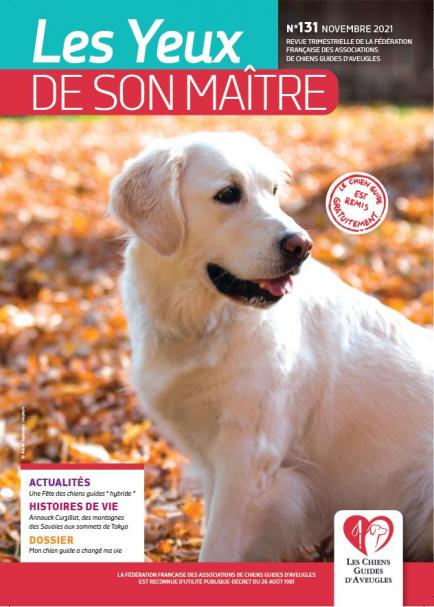 Il s'agit de la couverture de la revue &quot;les yeux de son maître&quot; numéro 131. Gros plan sur un chiot labrador sable, tête tournée et gueule entrouverte, sur un fond automnal de feuilles mortes.