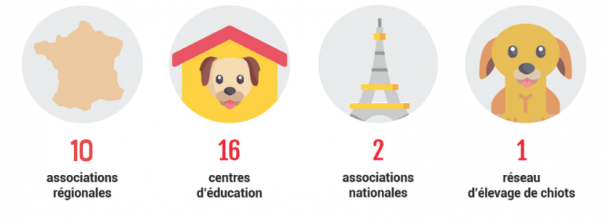 C'est une image représentant 4 visuels : Une carte avec 10 associations régionales, Un petit chien dans une niche avec 17 centres d'éducations, Un dessin de la Tour Eiffel avec écrit &quot;2 associations nationales&quot; et Un dessin de chiot avec écrit en dessous &quot;1 réseau d'élevages&quot;