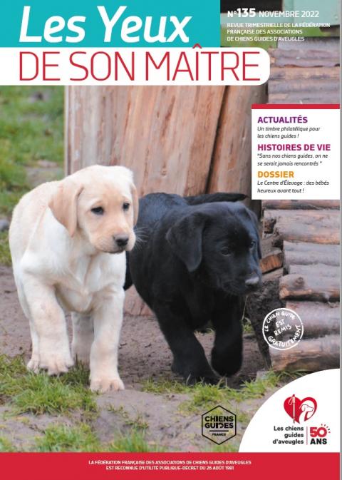Il s'agit de la couverture de la revue &quot;les yeux de son maître&quot; numéro 135 : On voit deux chiots, un sable et un noir, qui marchent sur l'herbe fraîche de la rosée du matin.