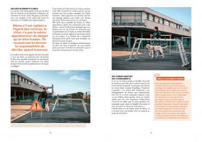 Extrait du livre Le chien guide, La prunelle de mes yeux, pages 60 et 61