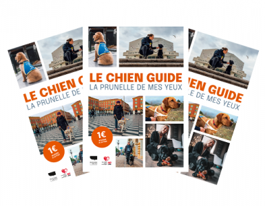 Couverture du livre Le chien guide, la prunelle de mes yeux.