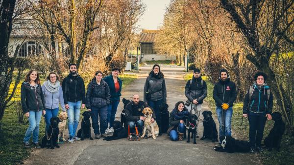 La promotion d'élèves 2019. Ils posent avec leurs chiens guides dans un jardin