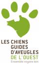 Les chiens guides d'aveugles de l'ouest